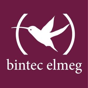 bintec elmeg